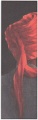 contemporaneos_noficcion_001a
