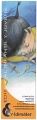 infantil_juvenil_012