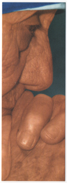 sabiduria_001.jpg - Los pequeños libros de la sabiduría 001