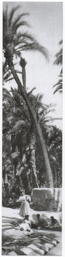 IMG_060a.jpg - Fotografía Histórica 001