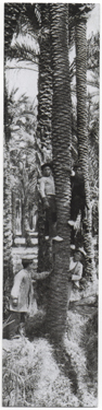IMG_064a.jpg - Fotografía Histórica 005