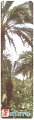 elche_001a