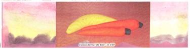 escoles007a.jpg - Escola Bernat de Boïl - 2n d'EP
