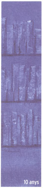 biblioteca_010a.jpg